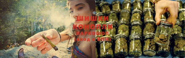 PSILOCYBIN Володарск