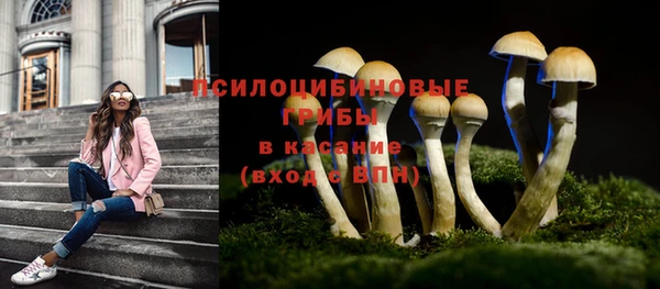 PSILOCYBIN Володарск